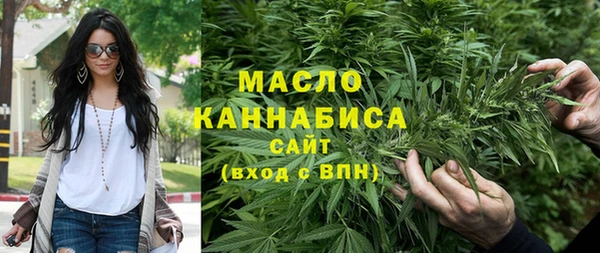 молекула духа Саяногорск