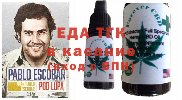 молекула духа Саяногорск