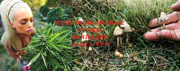 гашик Семикаракорск